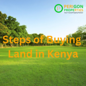 Steps of Buying Land in Kenya