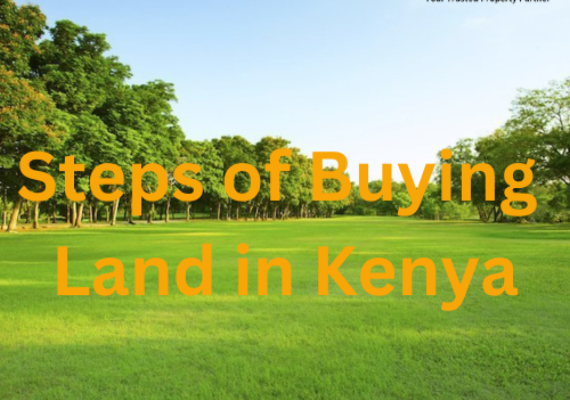 Steps of Buying Land in Kenya