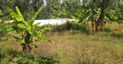 One Acre for Sale