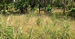 One Acre for Sale