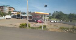 Petrol Station for Sale