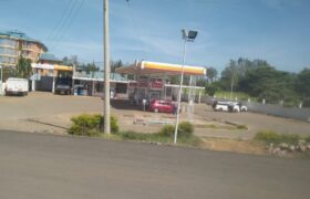 Petrol Station for Sale