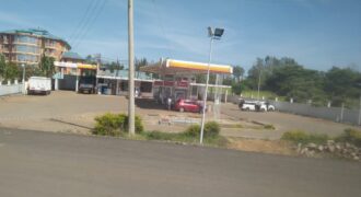 Petrol Station for Sale