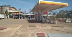 Petrol Station for Sale