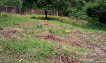 One acre for Sale