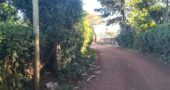 40*80 Plot for Lease 40*80 Plot for Lease