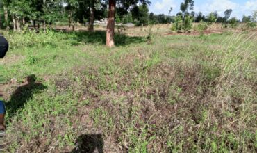 50*100 Plot for Sale