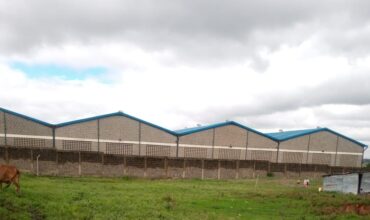 One Acre for Sale