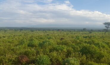 10 Acres for Sale